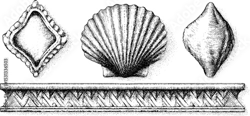 Ornamental fan shell and zigzag border design for decorative crafts and patterns