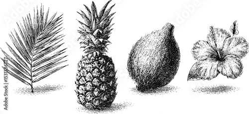 Tropical elements with palm leaf, pineapple, coconut, and hibiscus for summer design