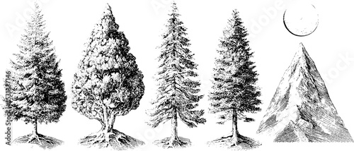Set of pine trees and mountain base line art for nature design projects