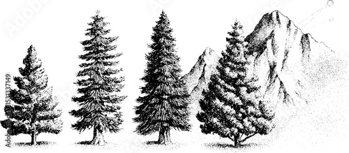 Nature landscape with pine trees and mountain line art for design projects