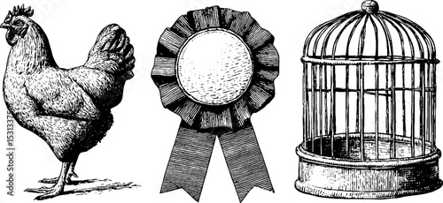 Prize hen, award ribbon, and display cage for agricultural competition