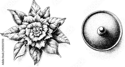 Psychedelic leaf cluster and mandala petal design for artistic decoration and inspiration