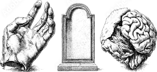 Halloween horror elements featuring rotting hand, tombstone, and brain for spooky design