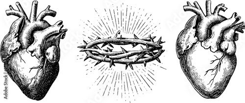 Sacred heart with thorn wreath - religious symbolism and spiritual devotion design