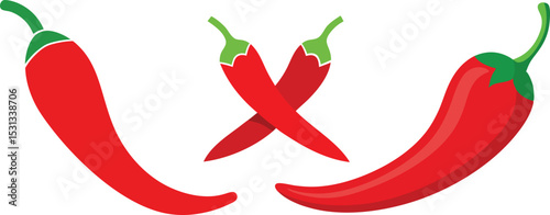 Red chili pepper vector.