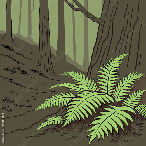 palm tree in the jungle