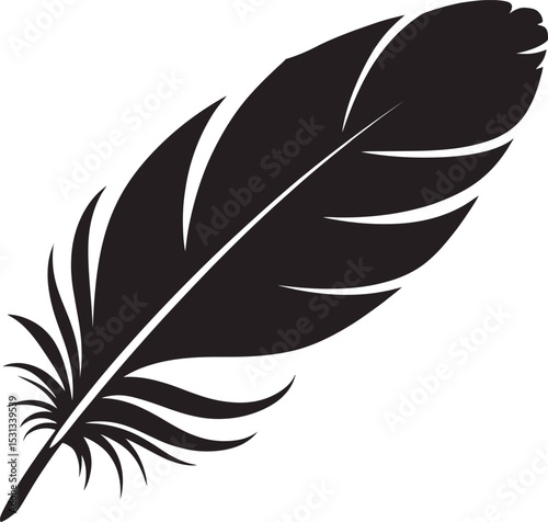 vector illustration of feather