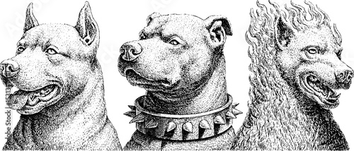 Mythical three-headed dog trio with spiked collar inspired by hell