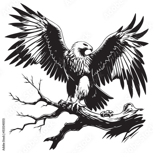 Majestic eagle with wings spread on a bare branch