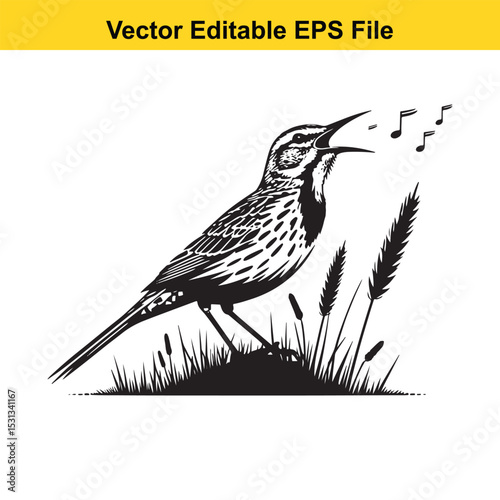 A melodic Skylark singing amidst tall grasses, a black and white vector illustration