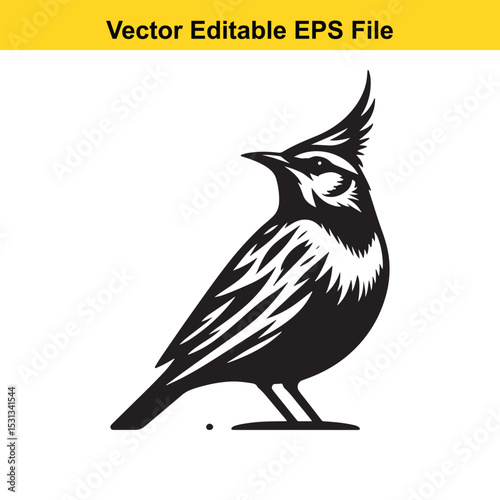 A striking vector illustration of a bird, possibly a lark, rendered in black and white, suitable for various design applications.