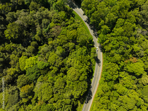 Car in rural road in deep rain forest with green tree forest view from above, Aerial view car in the forest on asphalt road background, Electric vehicle EV car drive asphalt road green tree forest.