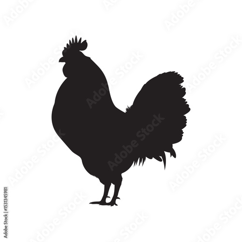 Vector silhouette of a standing chicken. Perfect for farm logos, vintage designs, countryside themes, animal icons, and rural illustrations.