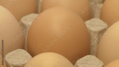 Chicken eggs in cardboard tray, close-up shot zoom-out video