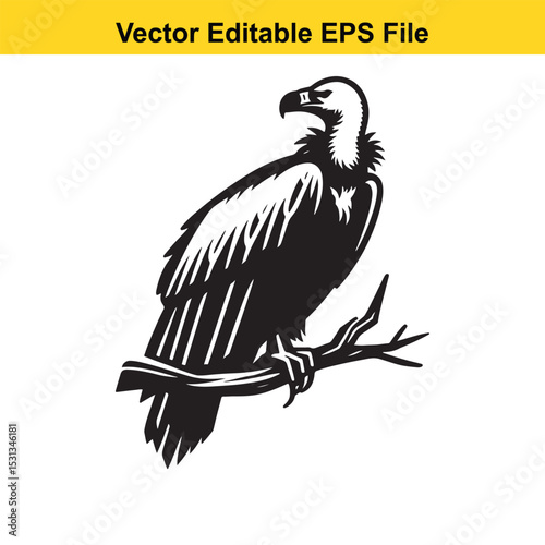 Majestic Vulture Perched on Branch: A Black and White Vector Illustration
