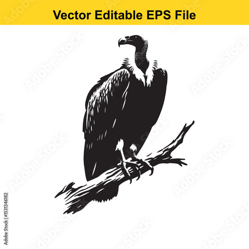 Majestic Vulture Silhouette Perched on a Branch