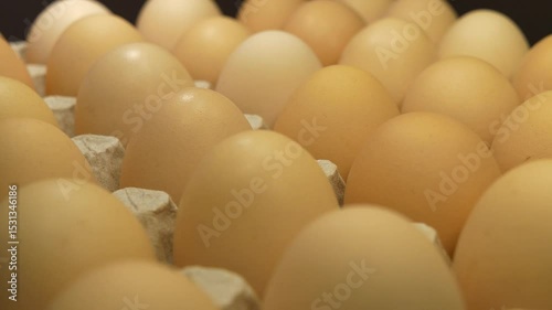 Chicken eggs in cardboard tray rotates on black background