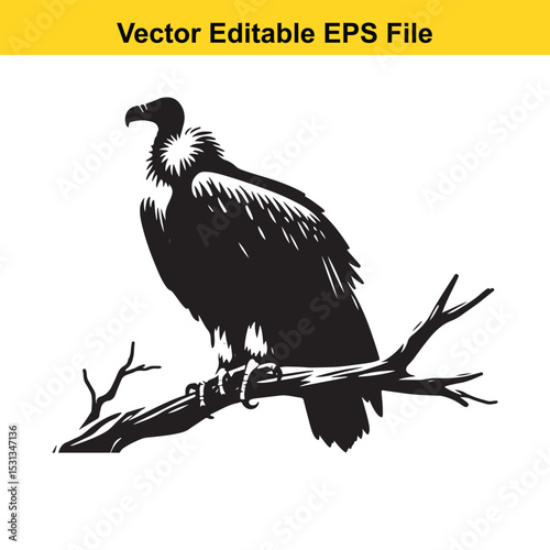 A majestic vulture perched on a branch, depicted in a striking black and white vector illustration.