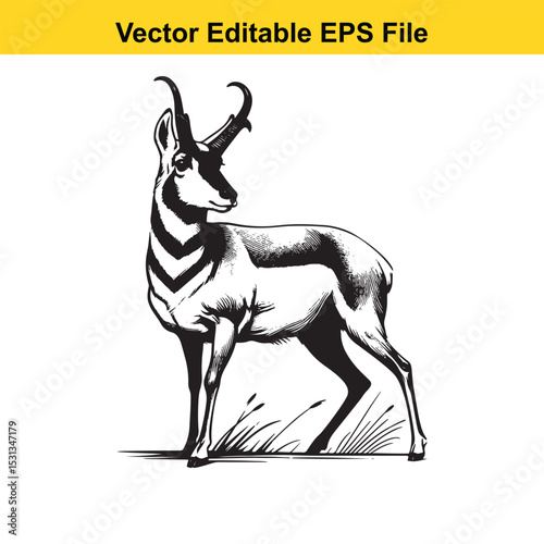 Pronghorn Antelope in Black and White Vector Illustration