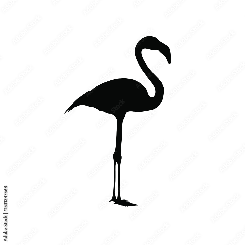 Fototapeta premium Black Flamingo Silhouette Bird Profile View white background