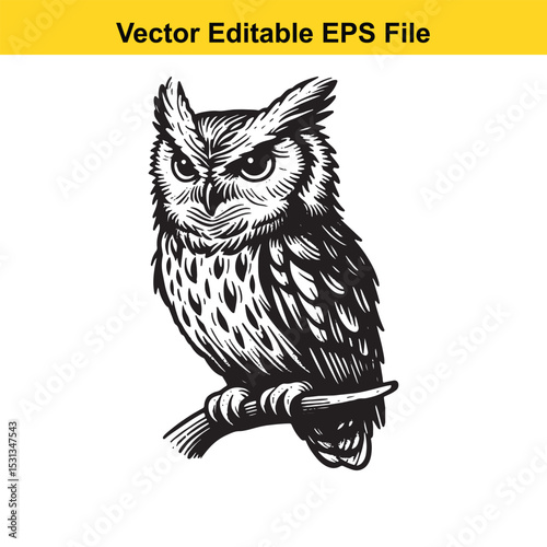 A majestic owl perched on a branch, a vector illustration in black and white, suitable for various design projects. photo