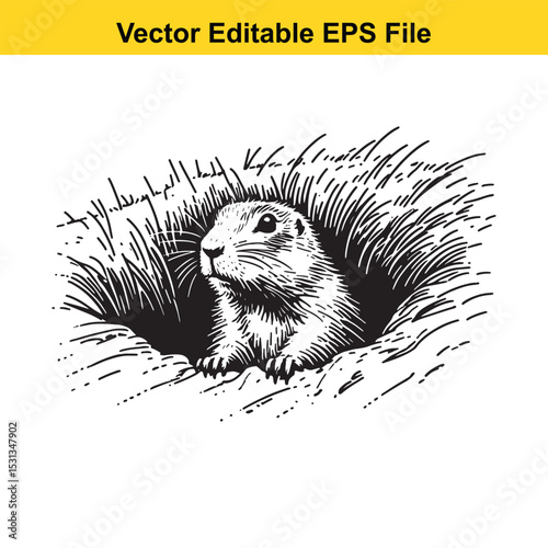 A prairie dog peeking out of its burrow, hand-drawn illustration
