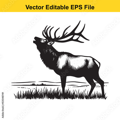 Majestic Elk Bugling in a Grassy Meadow: A Black and White Vector Illustration
