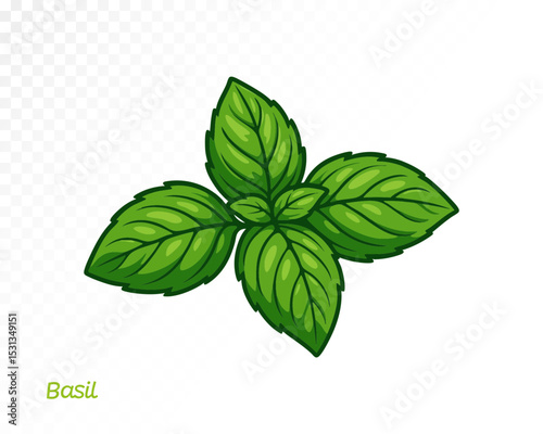 Watercolor hand painted basil leaf in minimal style with natural soft gradients for herb-themed designs. Vector illustration.