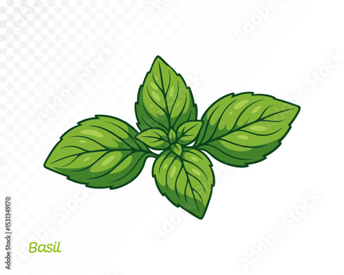 Watercolor basil leaves illustration showing clustered fresh herbs with soft edges and natural green hue. Vector illustration.