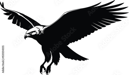 Two stylized fish silhouettes facing left on a white background in a simple vector illustration