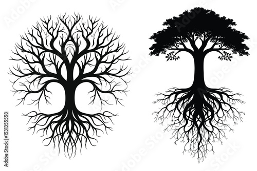 Two contrasting tree silhouettes: one bare, one full, both with detailed roots
