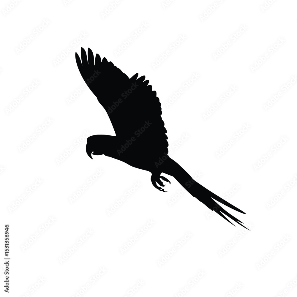 Obraz premium Black Silhouette of a Macaw Parrot in Flight bird