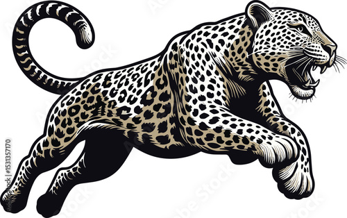 A real Vector illustration clipart Leopard
