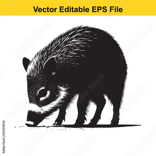Black and white vector illustration of a collared peccary foraging