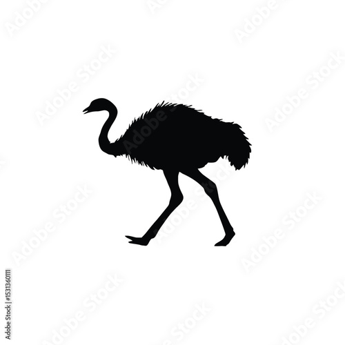 Black Silhouette of an Ostrich Walking white bird