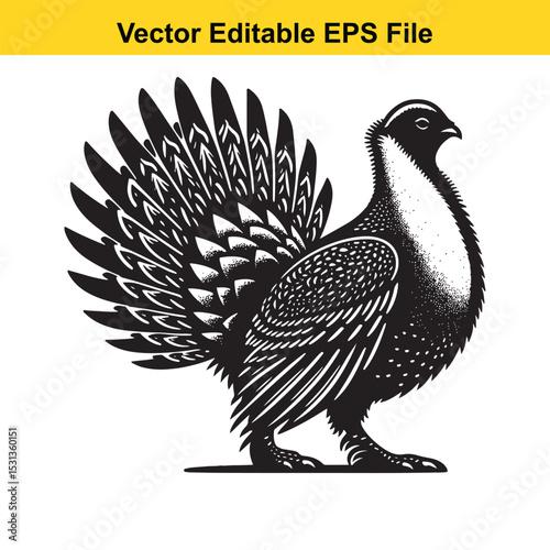 Black and white vector illustration of a majestic grouse bird with detailed feathers and a proud posture