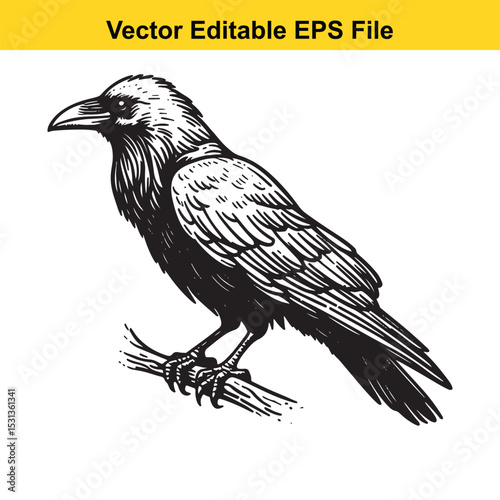 A majestic raven perched on a branch, detailed vector illustration