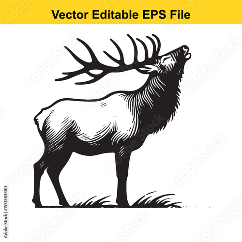 Majestic Bull Elk Bugle Vector Illustration