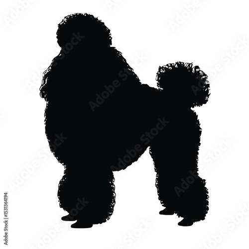 Black Standard Poodle Silhouette Dog Breed Profile 1