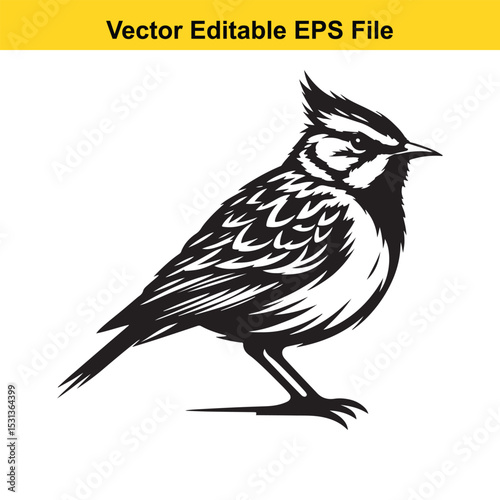 A striking black and white vector illustration of a skylark bird