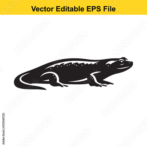 Vector illustration of a lizard in black and white