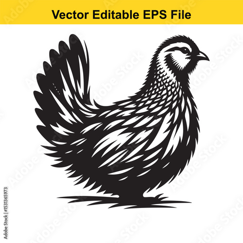 A black and white vector illustration of a hen, suitable for various purposes.