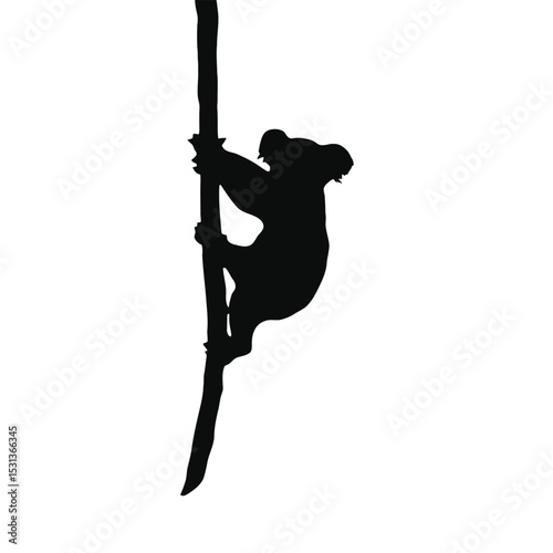 silhouette of a koala