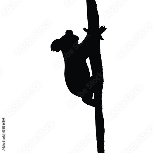Koala Silhouette Climbing Tree Trunk Black White vector