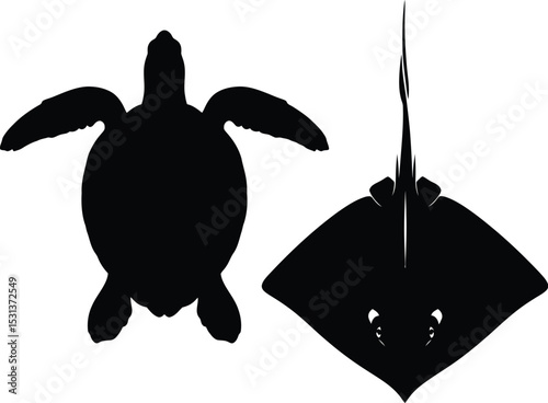 A silhouette of a turtle and a stingray side by side on a white background in a simple graphic design style