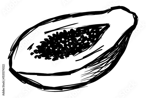 Hand-drawn papaya fruit sliced in half showcasing black seeds  