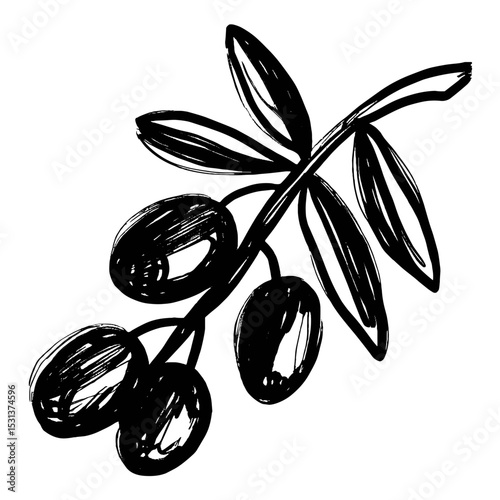 Sketch of olive branch with leaves and ripe olives  