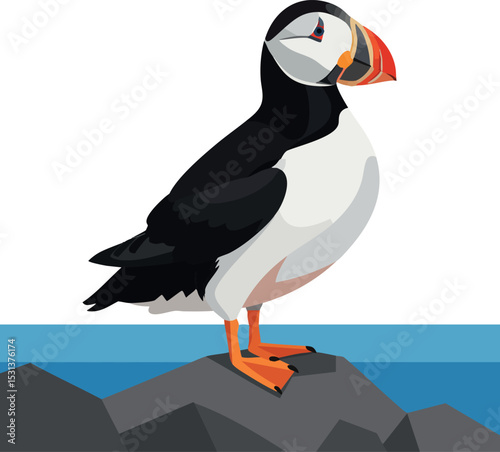 Puffin bird standing on rocky shore near blue ocean vector illustration 