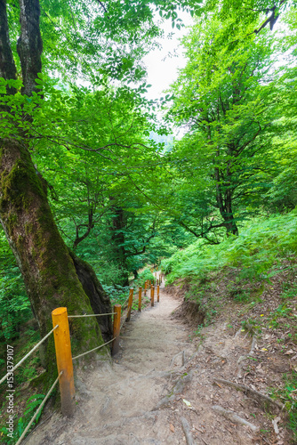 Mountain path to the Shirhal waterfall