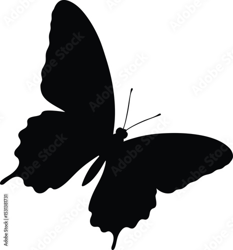 A silhouette of a butterfly with detailed wings and antennae against a plain white background image view
